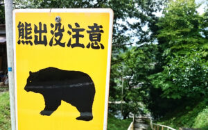 熊の侵入検知にも活用できる先進のi-PROのAI技術